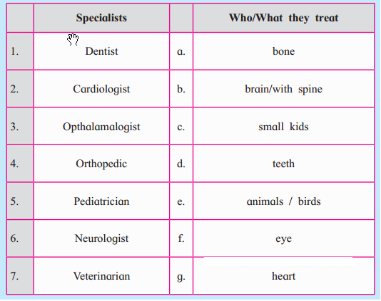 Maharashtra Board Class 8 English Solutions Chapter 4 1 The Vet SabDekho