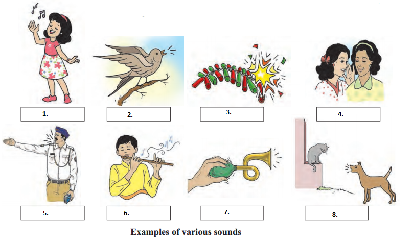 Maharashtra Board Class 6 Science Solutions Chapter 13 Sound SabDekho