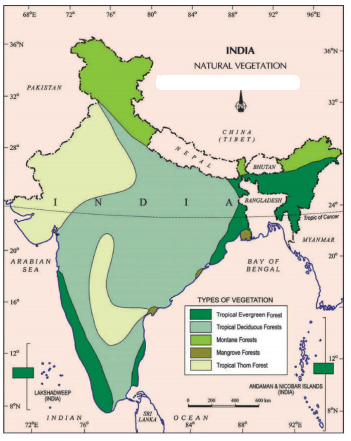 AP Board 7th Class Social Solutions 2nd Lesson Forests - SabDekho