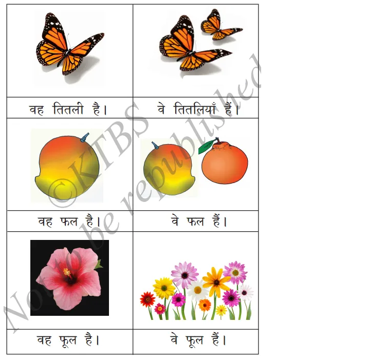 kseeb-solutions-for-class-6-hindi-chapter-9-sabdekho