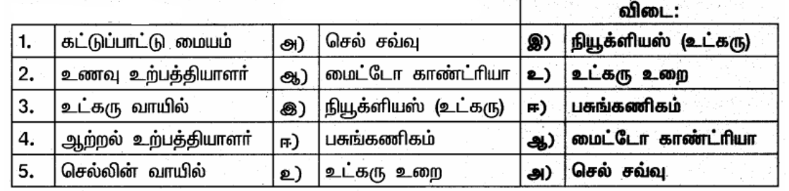 Samacheer Kalvi 6th Science Guide Term 2 Chapter 5 செல் - SabDekho