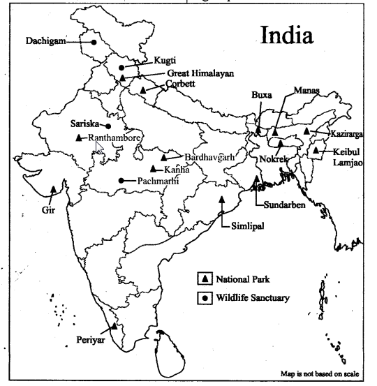 RBSE Class 10 Social Science Solutions Geography Chapter 2 Forest and ...