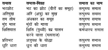 Makrand Ras MP Board Class 12th Hindi Makrand Solutions Chapter 6 शौर्य गाथा - SabDekho